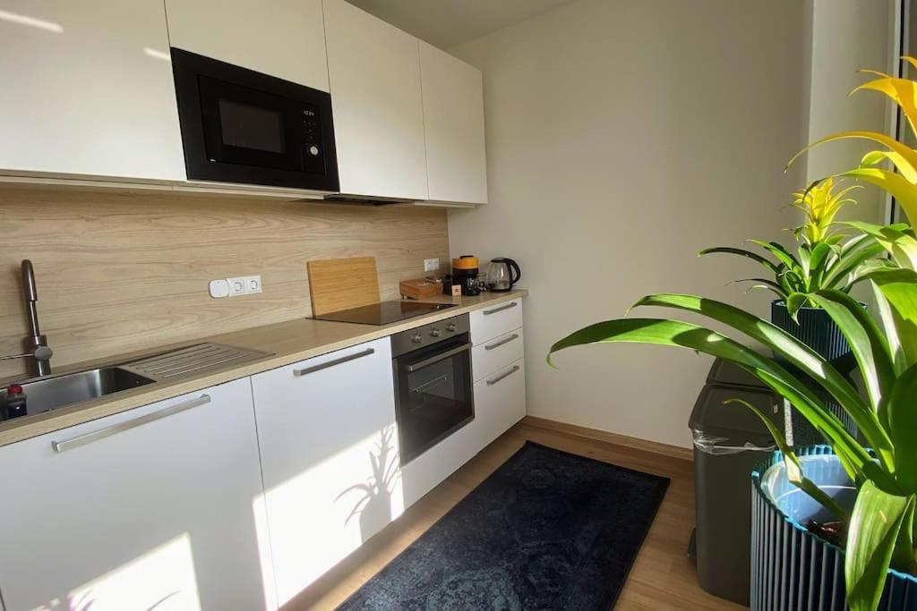 Strahlende Erdgeschoss-Wohnung Im Neubau Naehe Legoland 伊兴豪森 外观 照片